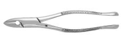 Forceps Upper Incisors (Sky Choice)