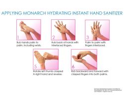 Monarch Hydrating Instant Hand Sanitizer 16oz