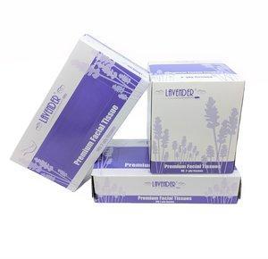 Facial Tissue 30/Case (Sky Choice)