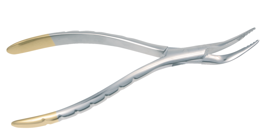 Root Forceps TC (PDT)